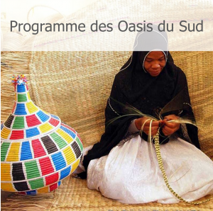 Programme des Oasis du Sud