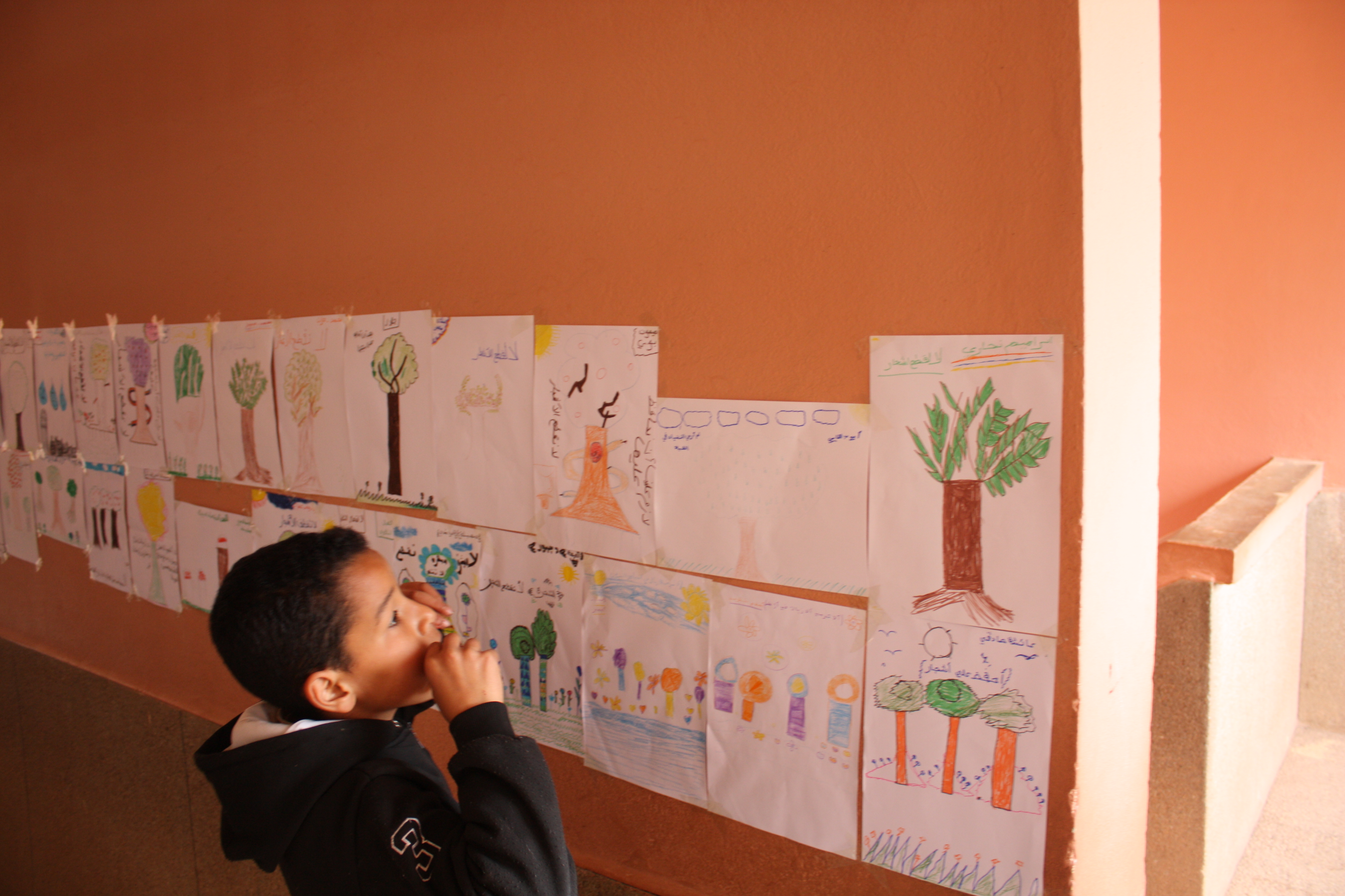 Les élèves affichent leur dessins d’écogestes - école Moulouya (Berkane)